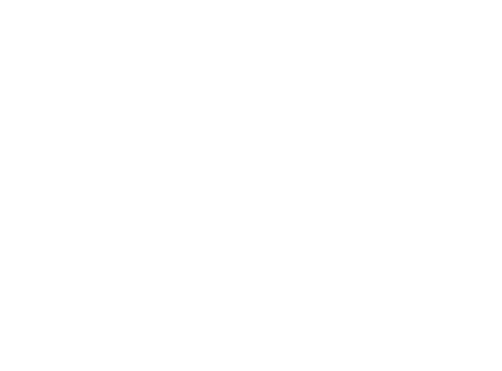 Arista Real Estate BV-arista Logo